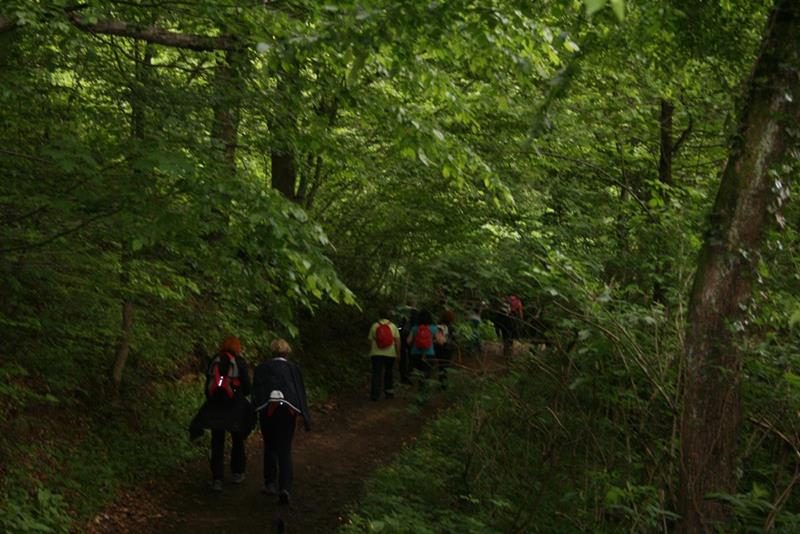 Naslovna fotografija albuma Pohod članic na Sv. Tomaž